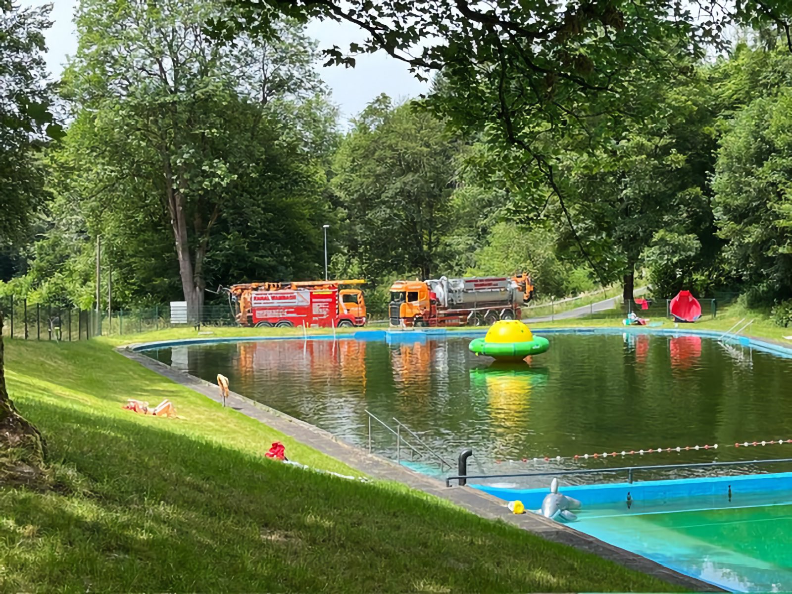 Waldbegang Nachlese